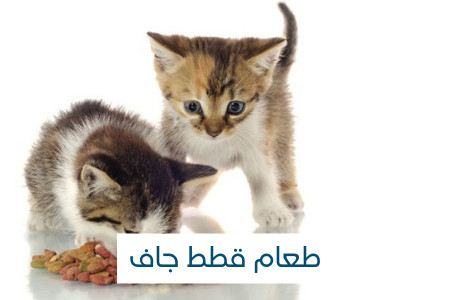 طعام جاف للقطط