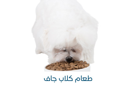 طعام جاف للكلاب