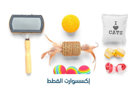 اكسسوارات القطط
