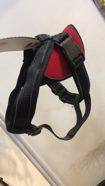 هارنس للكلاب المتوسطة  