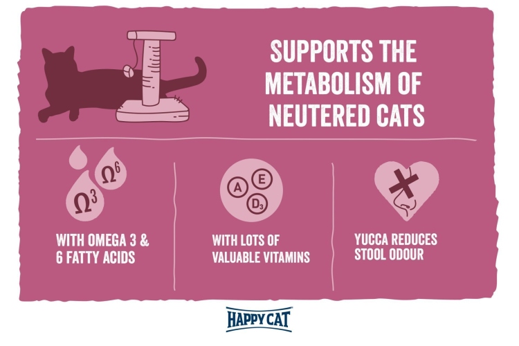 هبي كات منكس معقم سالمون 