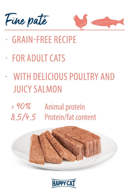 هبي كات منكاس ديو دجاج مع السالمون باتي 