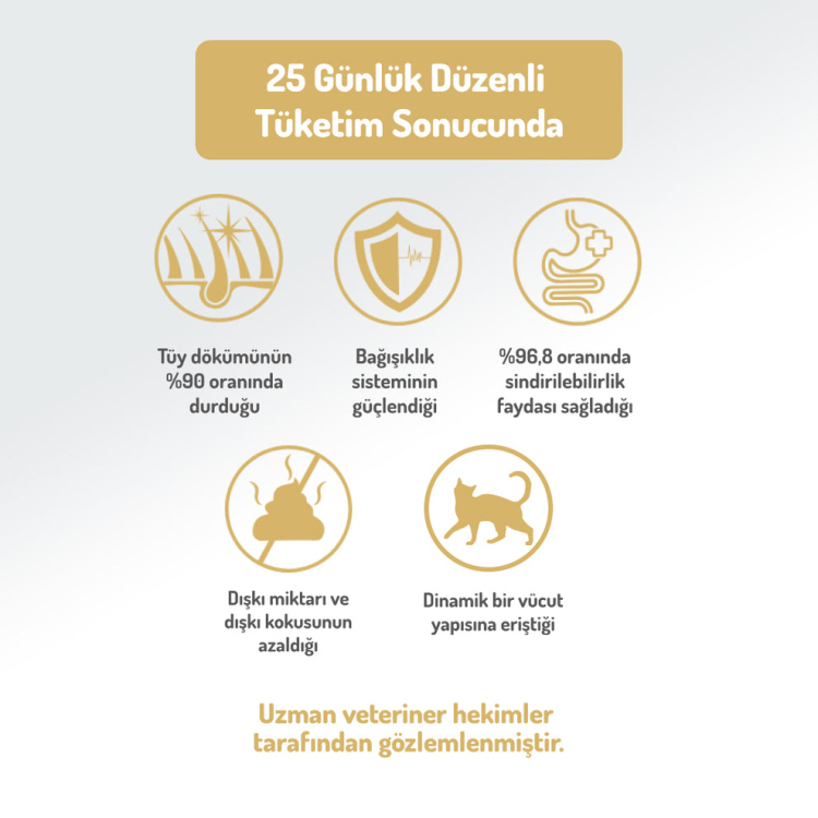 طعام فيليسيا للقطط البالغة بنكهة لحم الضأن، معزز بالكولاجين، مضاد للحساسية، 12