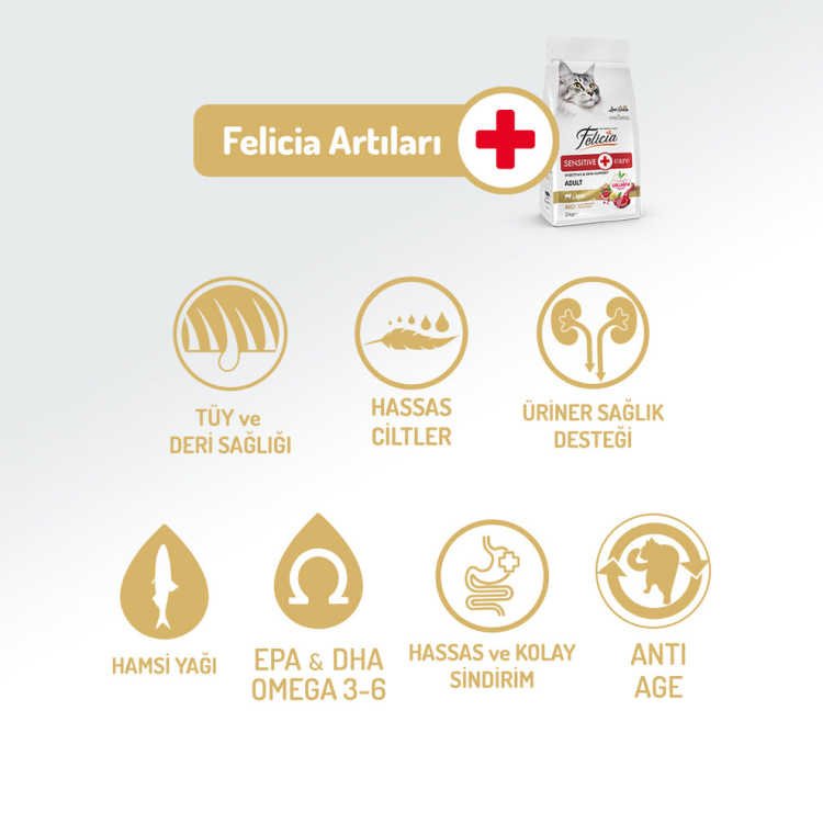 طعام فيليسيا للقطط البالغة بنكهة لحم الضأن، معزز بالكولاجين، مضاد للحساسية، 12