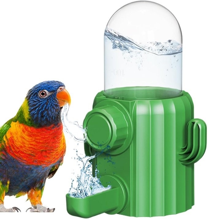JPZ-1-3 مغذي مياه أوتوماتيكي للطيور | موزع مياه على شكل صبار للطيور في الأقفاص