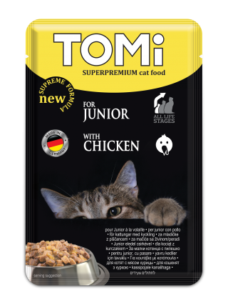 تومي كيتن دجاج 