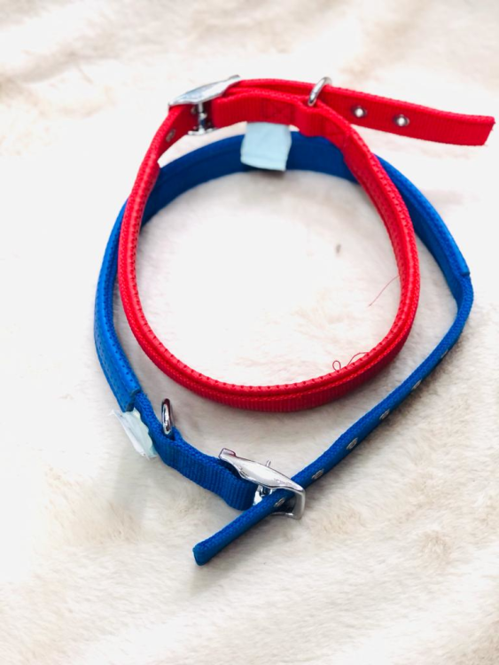 طوق كلب حجم وسط