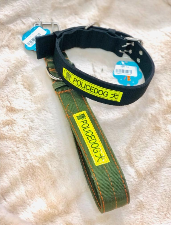 طوق للكلب حجم كبير