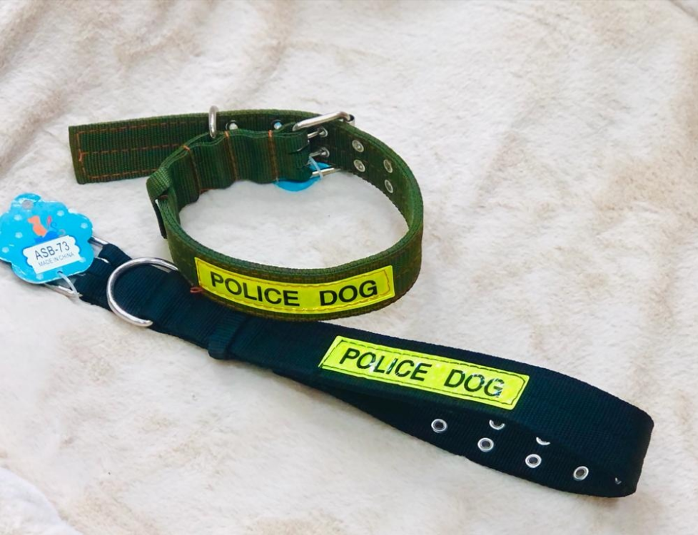 طوق للكلب حجم وسط