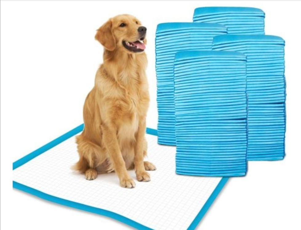 Bad medium 45*60 العدد 50