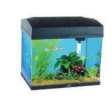 حوض سمك مستقيم مع فلتر ومعرض وإضاءة 37x25x33.5 سم 20 لتر