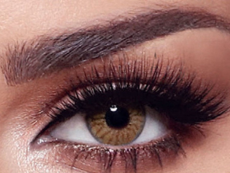 ريديانت هيزل نت 