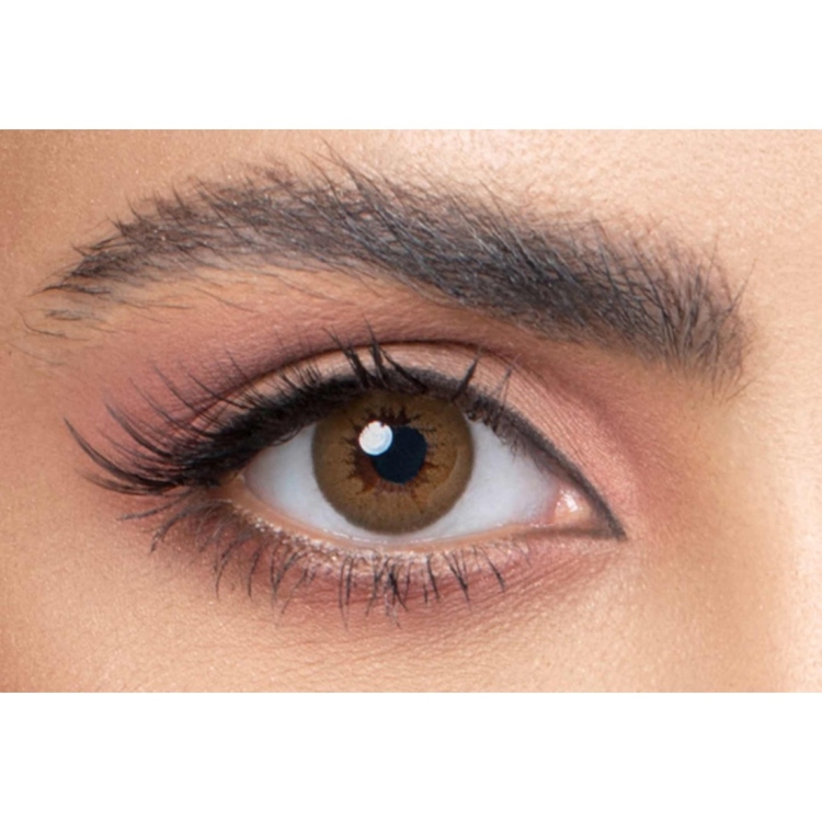 أفيلانا-Avellana