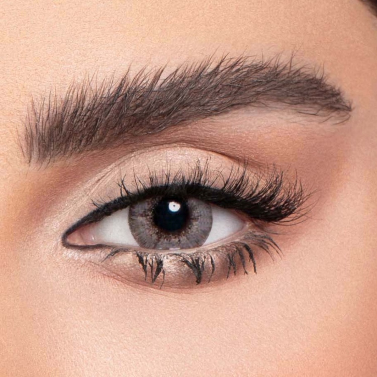 دريم فلورنس 