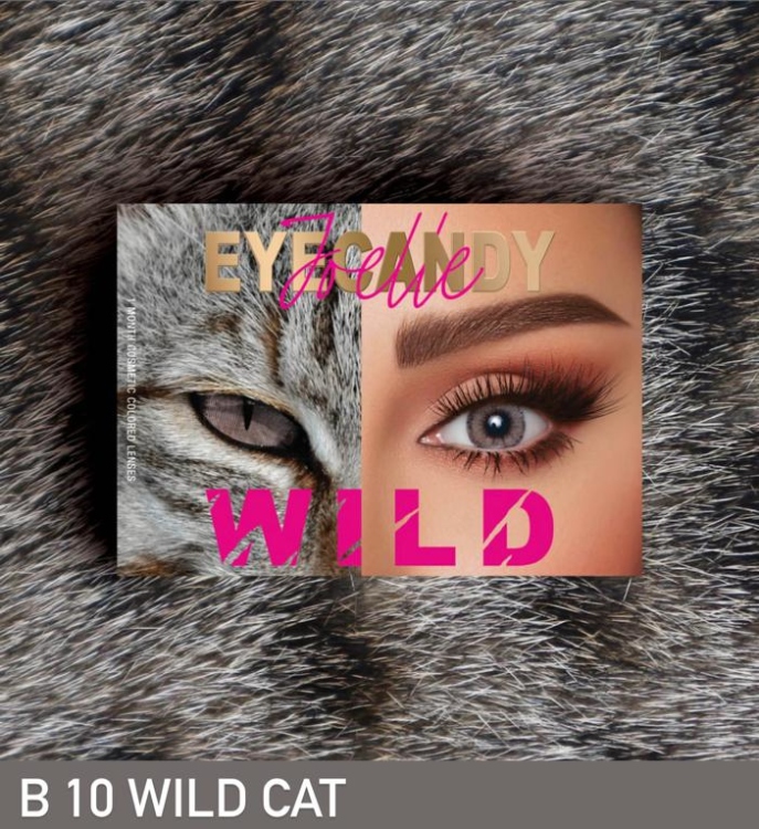 وايلد كات 