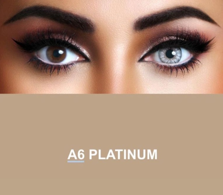 بلاتينيوم-A6 PLATINUM