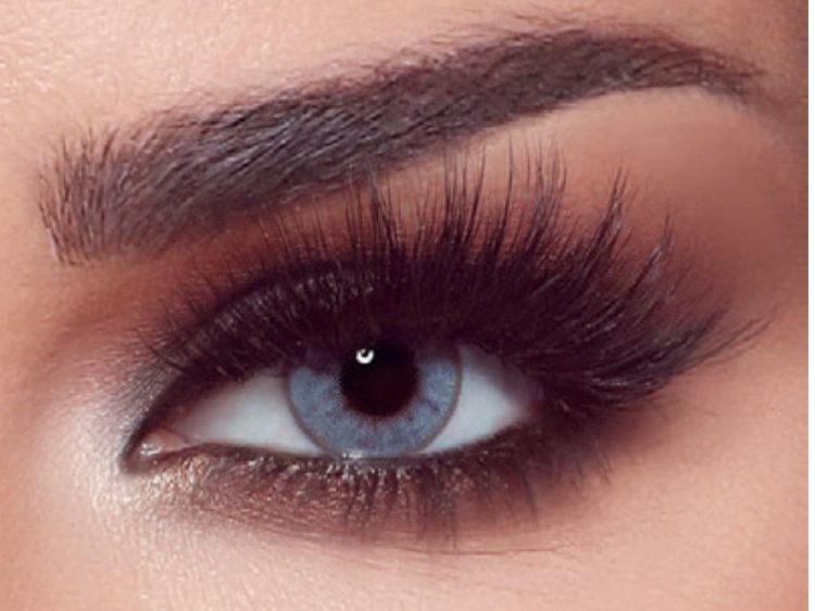 بليوش   جراي 