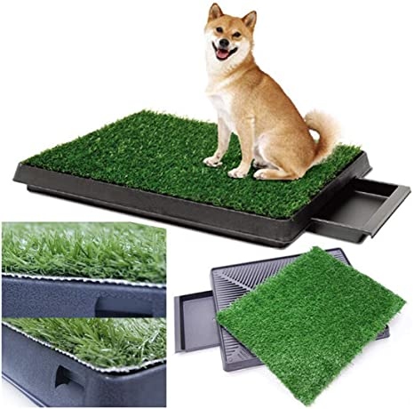 Dog Potty Training Pee Turf Grass