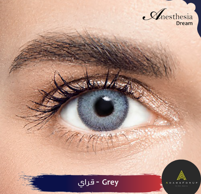 دريم جراي-DREAM GRAY