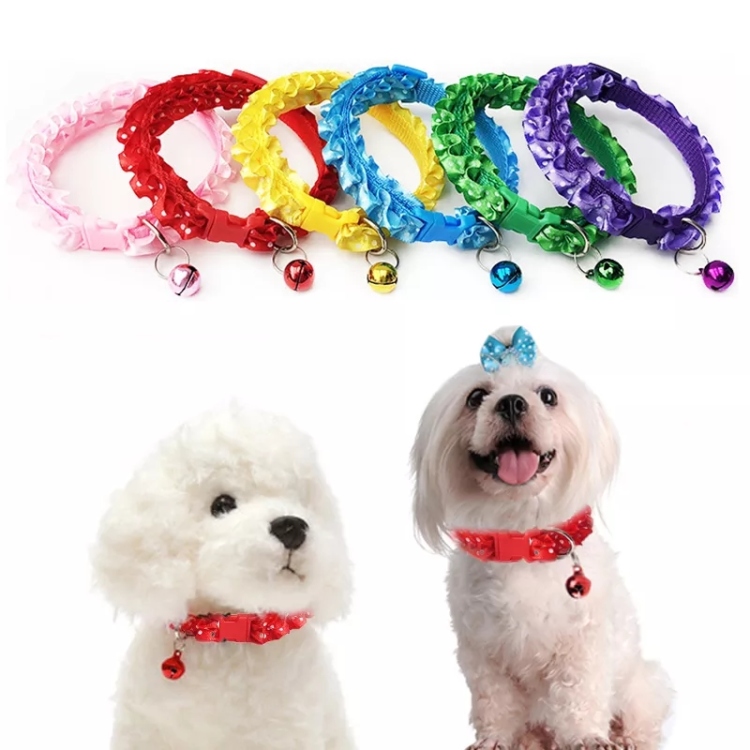 طوق قطط رائع