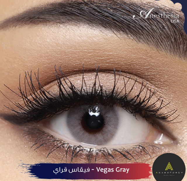 فيقاس جراي -VEGAS GRAY