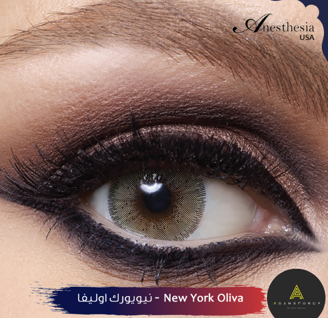 نيويورك أوليفا-NEW YORK OLIVA