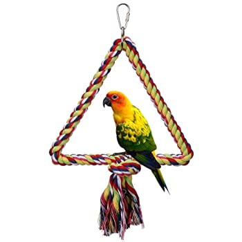 Bird Colorfull Triangle Swing Toy