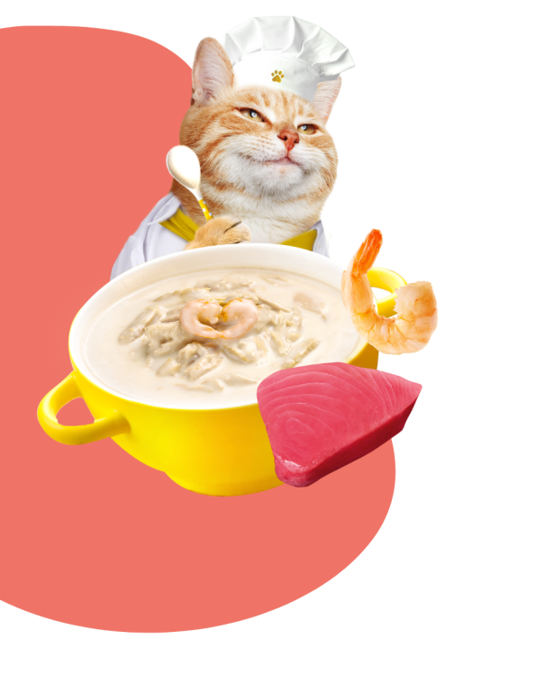 موشي مرق كريمي مع التونا والشرمب 