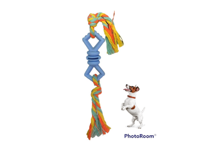 for pet its so magic pet