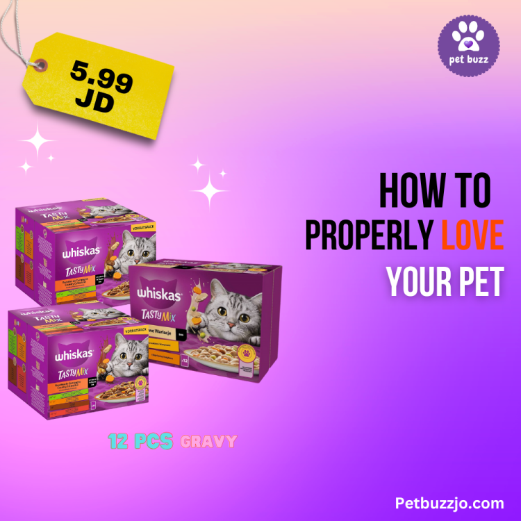 Whiskas pouches100g offer (12 pcs ) 