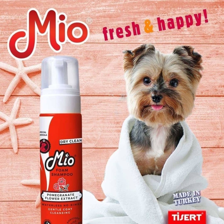 فوم شامبو من mio