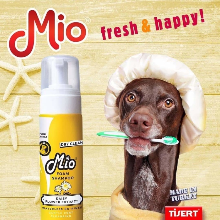 فوم شامبو من mio