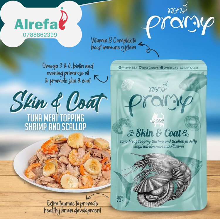 براما اندور وصفحة الكانيكاما 