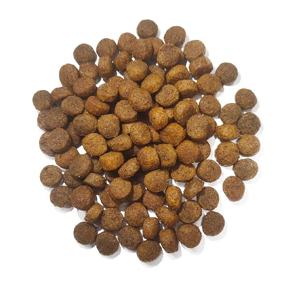 Sarar Salmon & Shrimp – دراي فود للقطط البالغة 