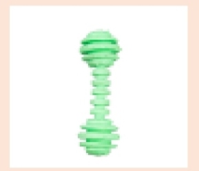 Barbell bone toy