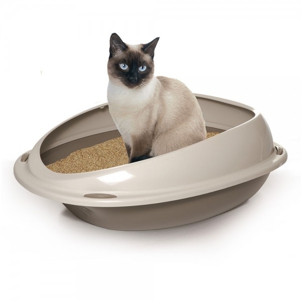 صندوق قمامة بحواف للمساعدة في إزالة فضلات القطط