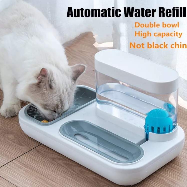 صحن طعام وماء