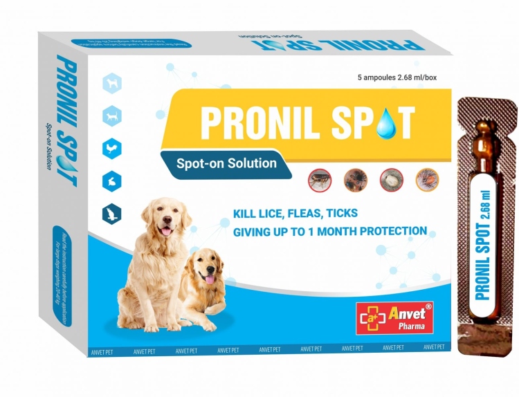 قطرة لعلاج  الحشرات للكلاب الكبيرة 