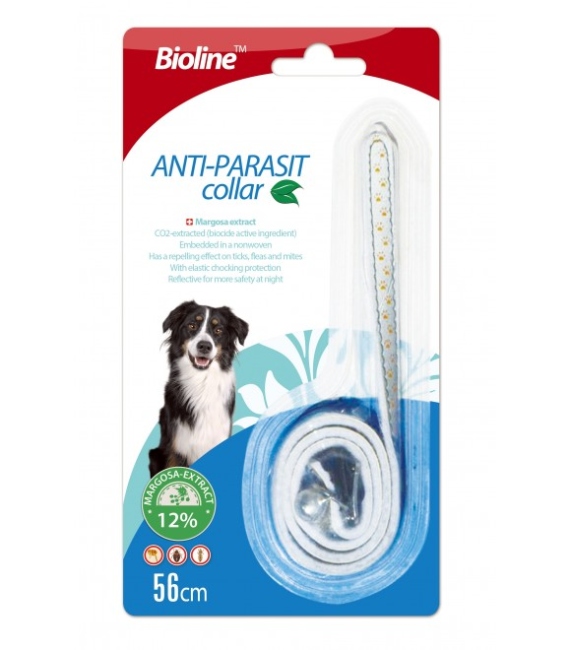 طوق حشرات للكلاب