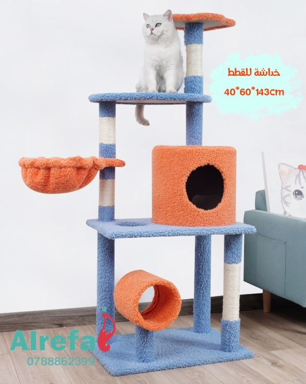 خداشة للقطط