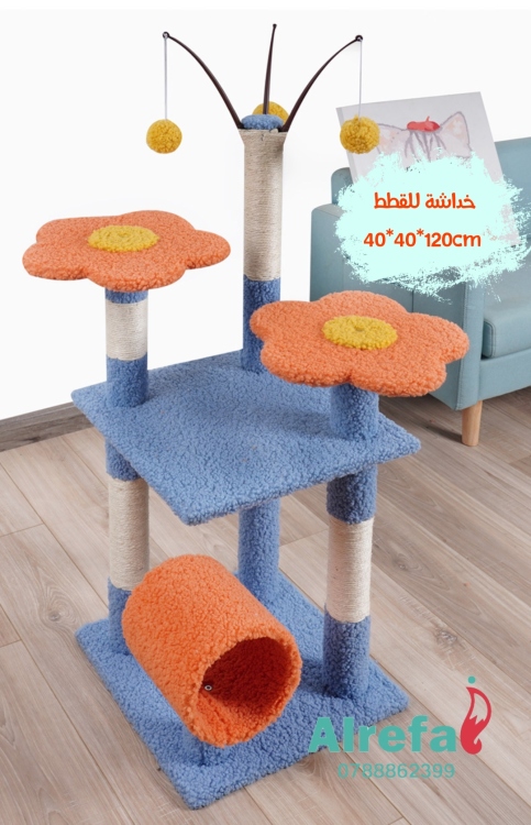 خداشة للقطط 