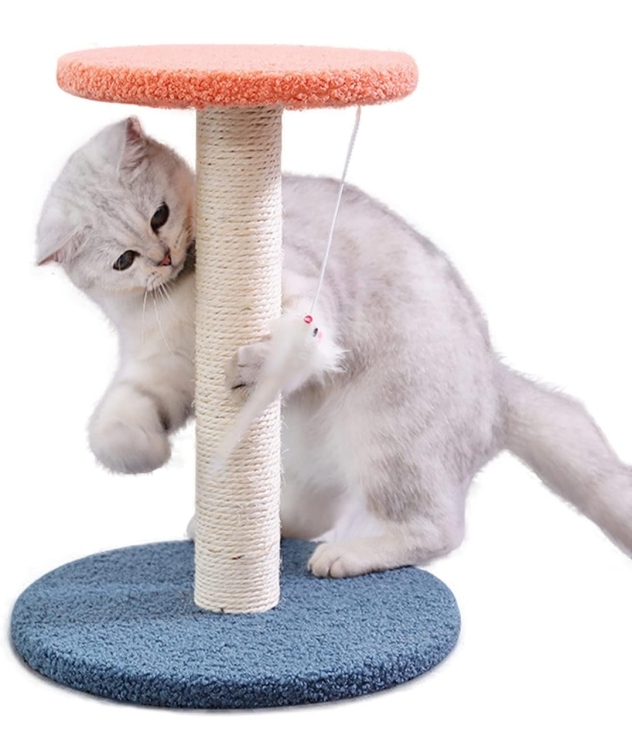 خداشة للقطط