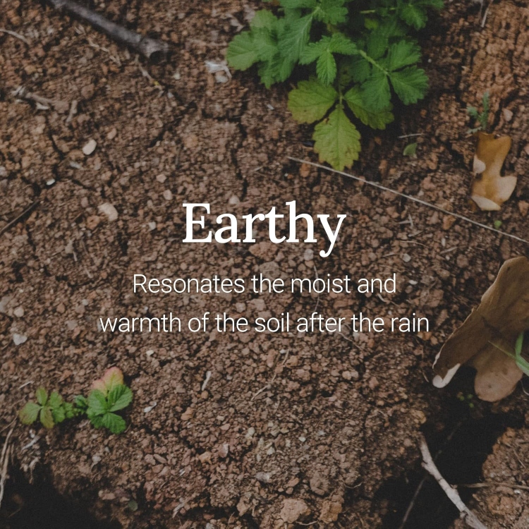 FRUDIA, Re:proust Essential Blending Hand Cream - Earthy