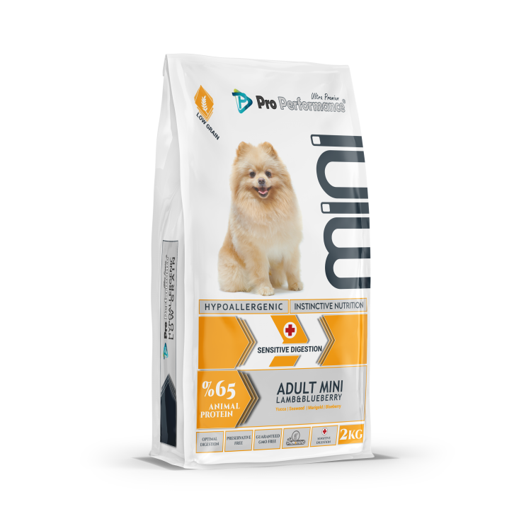 لحم الضأن والتوت الأزرق للكلاب البالغة صغيرة الحجم 