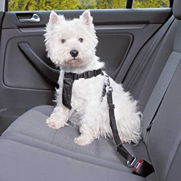 Trixie Car Harness