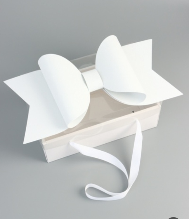 علب فيونكة لون  ابيض غطاء شفاف