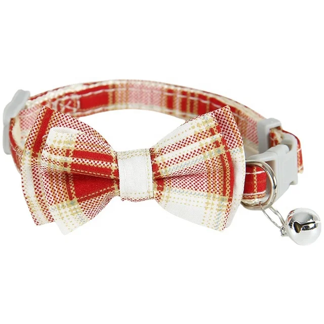 طوف ببيونه للقطط 