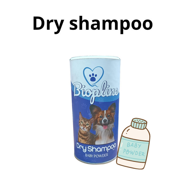 دراي شامبو بيبي باودر 