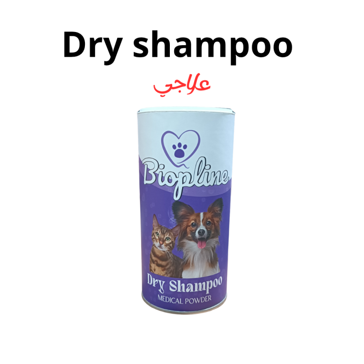 دراي شامبو علاجي 