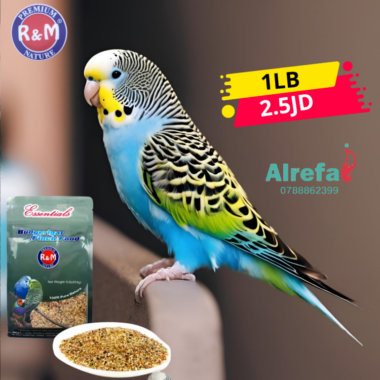 طعام لطيور الحب 